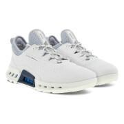 Spikeless golf shoes Ecco Biom C4
