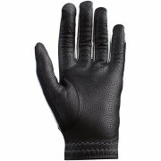 Glove Hirzl Trust Control 2.0 RH (x2)